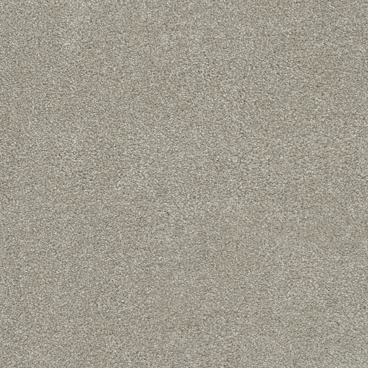 Parchment Rocks Rock Solid III - Parchment – Hawaii-Flooring-Solutions